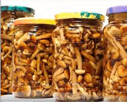 Recipes for making pickled mushrooms for the winter at home