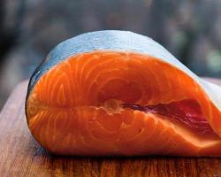 कोहो सैल्मन मछली: लाभ और हानि, उपभोक्ता समीक्षाएँ, रेसिपी उबले हुए कोहो सैल्मन कैलोरी सामग्री प्रति 100 ग्राम